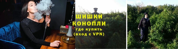 трава Киренск