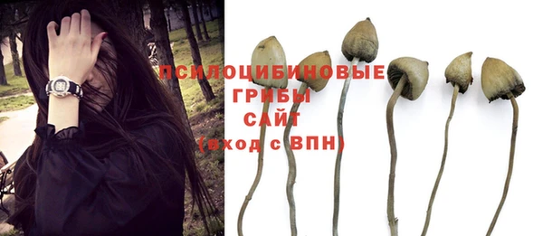 герыч Кинешма